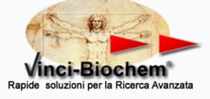 Vinci-Biochem logo