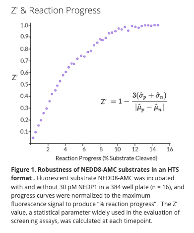 NEDD8-AMC