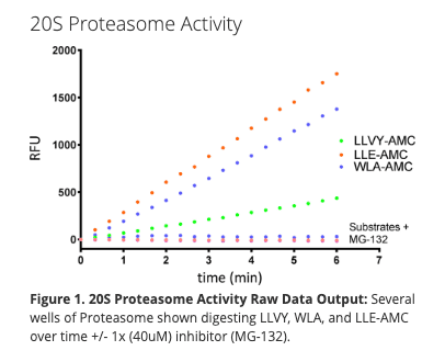 20S Proteasome Kit (human)
