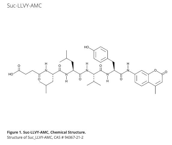 Suc-Leu-Leu-Val-Tyr-AMC (LLVY-AMC)