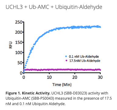 Ubiquitin-Aldehyde