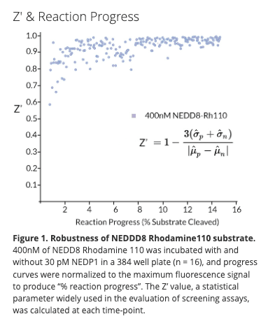 NEDD8 Rhodamine110