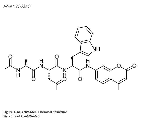Ac-Ala-Asn-Trp-AMC (ANW-AMC)