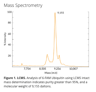 Fluorescein-Ubiquitin (6-FAM-Ub), human recombinant