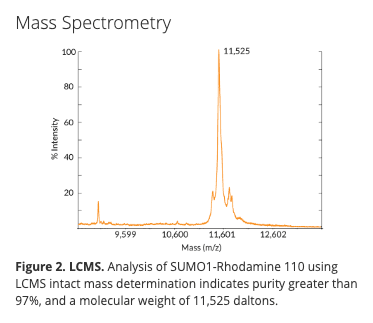 SUMO1 Rhodamine 110